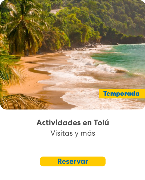 actividades en tolu