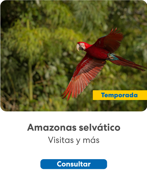 amazonas