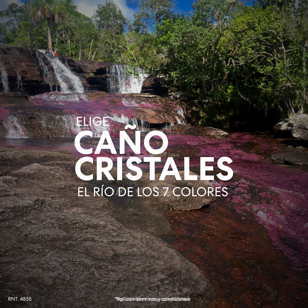 caño cristales