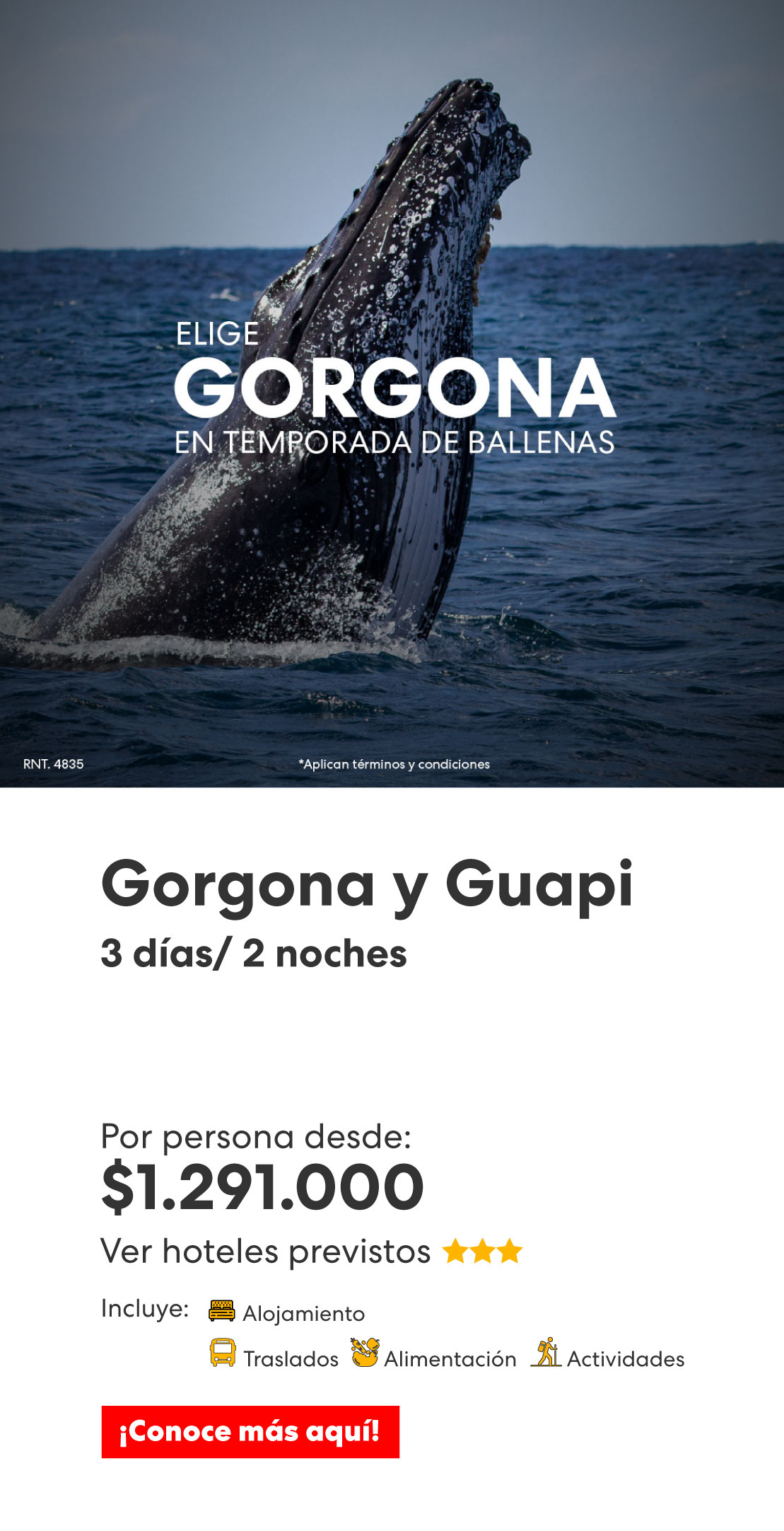 gorgona