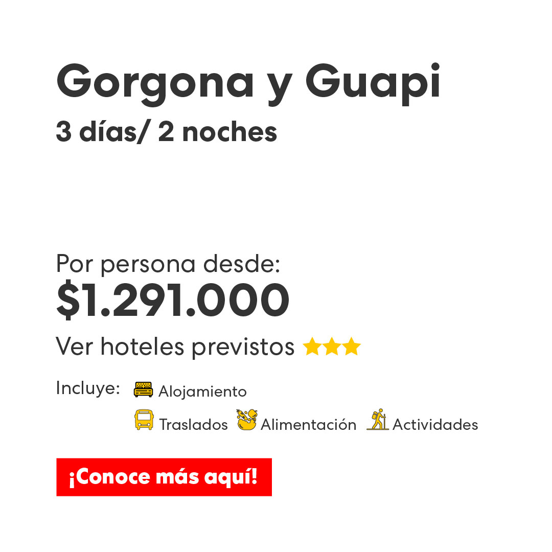 gorgona 